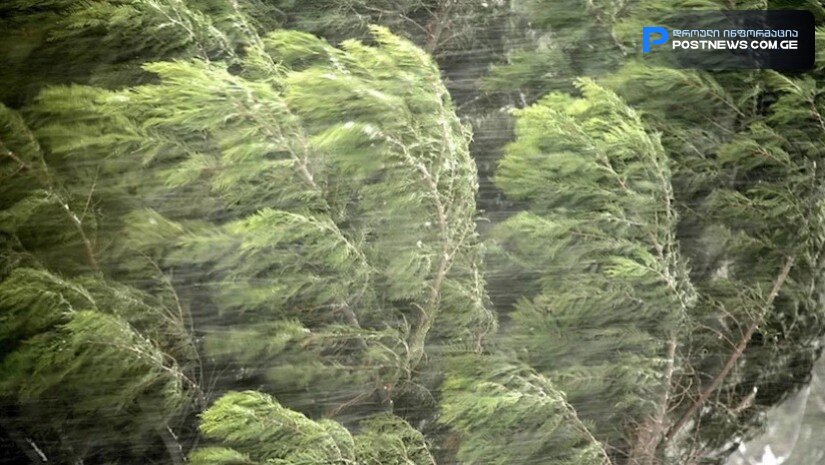 მოსალოდნელია ძლიერი ქარი - სინოპტიკოსის გაფრთხილება მოსახლეობას