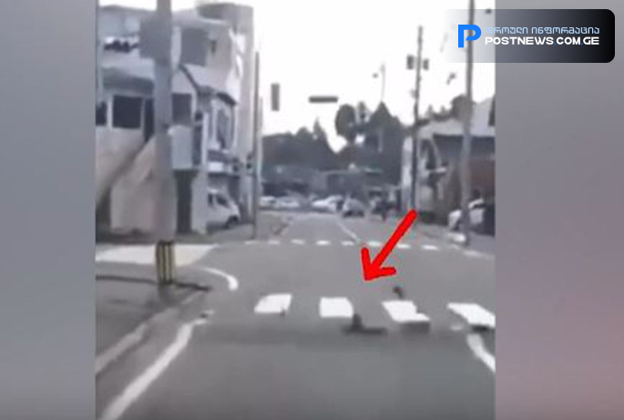 ვრცელდება 7.7 მაგნიტუდის სიმძლავრის მიწისძვრის მომენტში გადაღებული კადრები - ვიდეოში ისმის პანიკაში მყოფი მოსახლეობის ხმა (იაპონია)