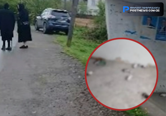 ვრცელდება უმძიმესი კადრები - "არცერთი არაა ცოცხალი, ყველა მოკლულია"