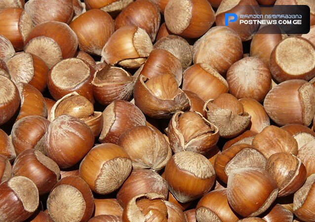 თხილის ბაღებზე სუბსიდია აღარ გაიცემა, არც ყანებს დახნავენ უფასოდ – რას ამბობს „ოცნება“ პროგრამების გაჩერებაზე